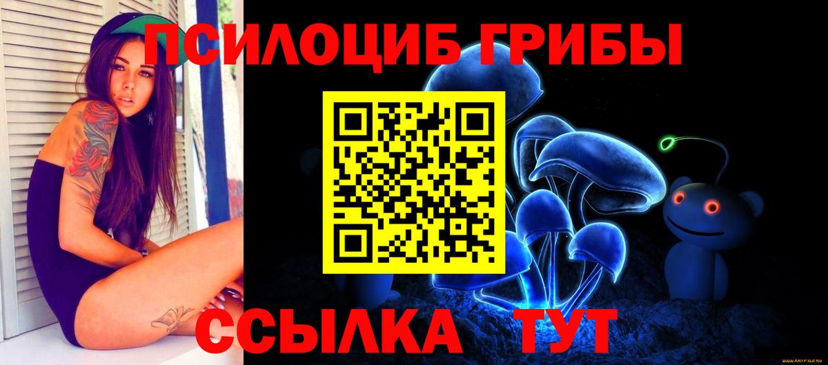 Галлюциногенные грибы Psilocybe  Вход с VPN  Белебей  наркотики  Псилоцибиновые грибы Cubensis 